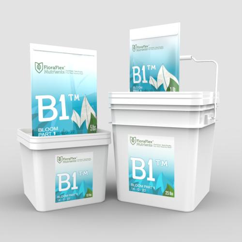 B1 - Bloom Part 1