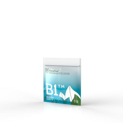 B1 - Bloom Part 1