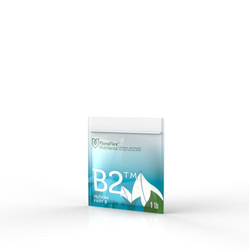 B2 - Bloom Part 2