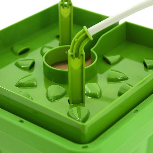 FloraCap 3.0 | 15cm (6")