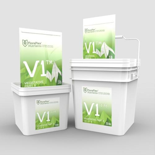 V1 - Vegetative Part 1