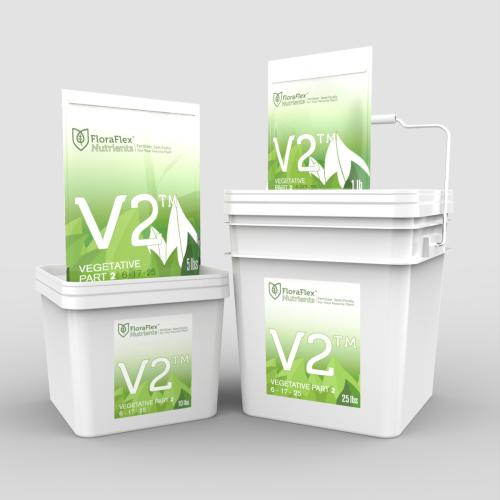 V2 - Vegetative Part 2